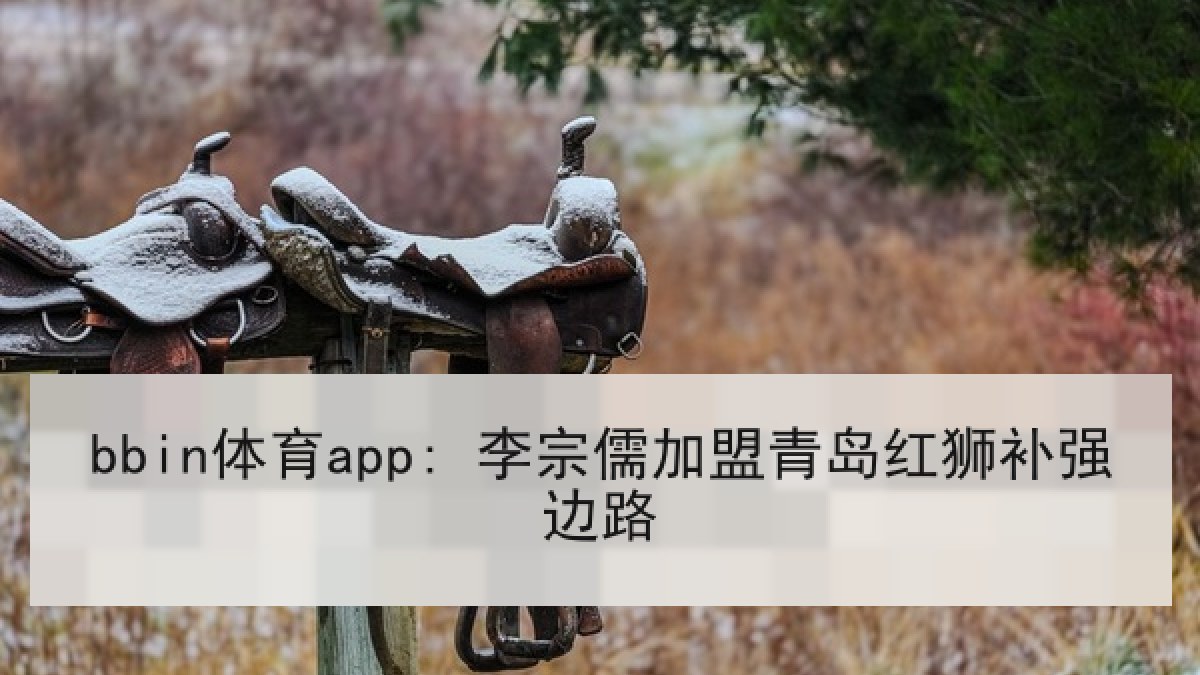 bbin体育app: 李宗儒加盟青岛红狮补强边路