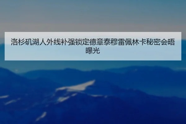 洛杉矶湖人外线补强锁定德章泰穆雷佩林卡秘密会晤曝光
