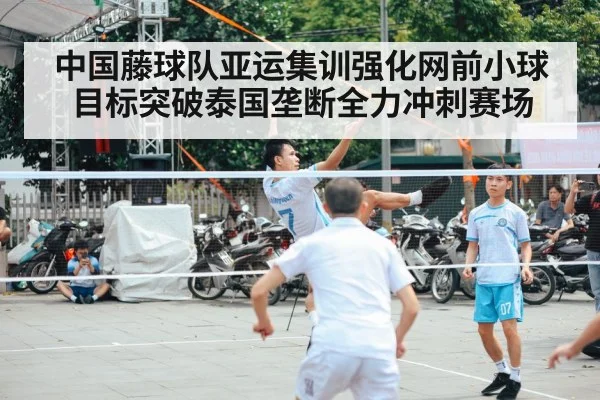 sepak takraw net action